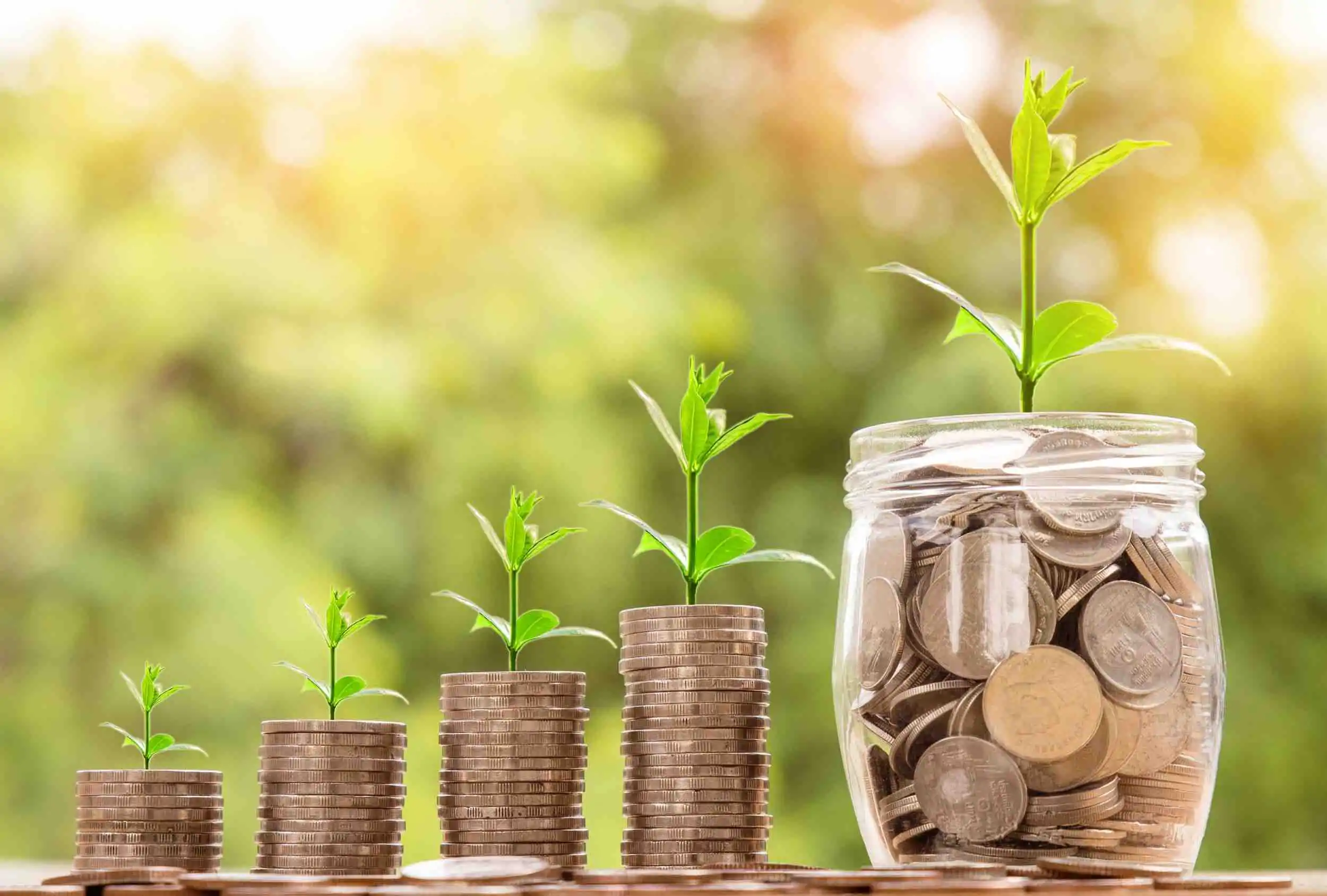 Stacks of coins with green plants growing out of them, next to a large jar filled with coins with a green plant growing out of it.